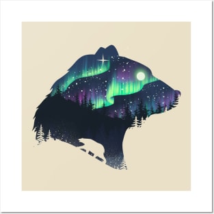 Northern Lights Posters and Art